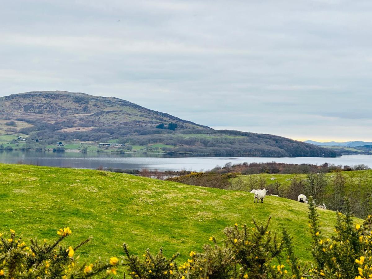 Trawsfynydd Stone Cottage Exteriér fotografie